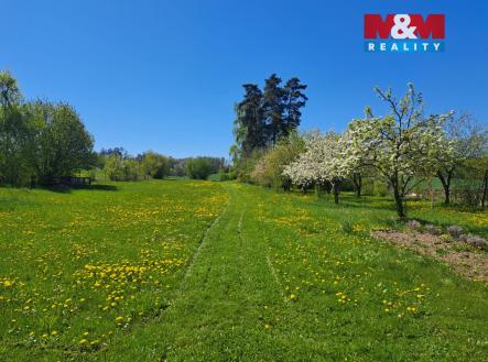 Prodej pozemku pro bydlení, 4 705 m²