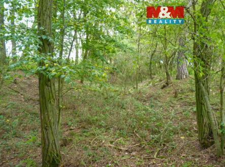 Prodej pozemku, les, 675 m²