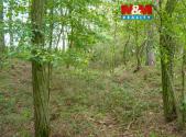 Prodej pozemku, les, 675 m²