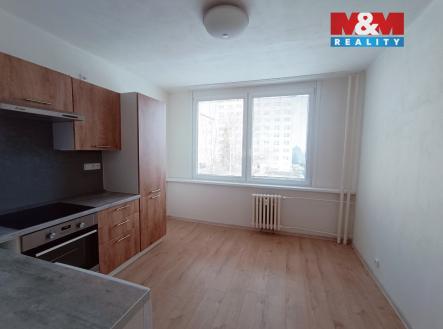 Pronájem bytu, 1+1, 41 m²