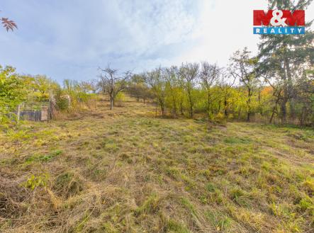 Prodej pozemku pro bydlení, 3 385 m²