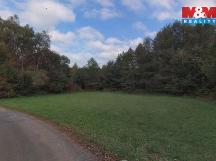 Prodej pozemku, trvalý travní porost, 2 513 m²