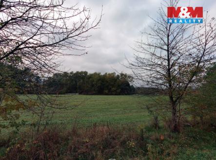 Prodej pozemku, trvalý travní porost, 2 513 m²