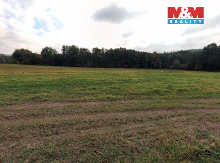 Prodej pozemku, trvalý travní porost, 2 513 m²