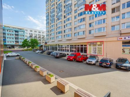 Pronájem obchodní prostor, 300 m²