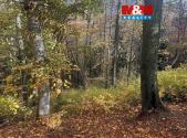 Prodej pozemku, les, 562 m²