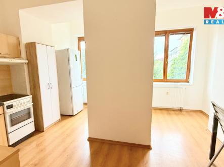 Pronájem bytu, 1+1, 55 m²