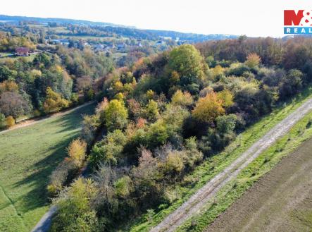 Prodej pozemku, zemědělská půda, 4 731 m²