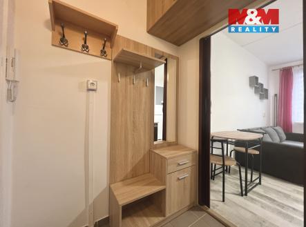 Pronájem bytu, 1+kk, 20 m²