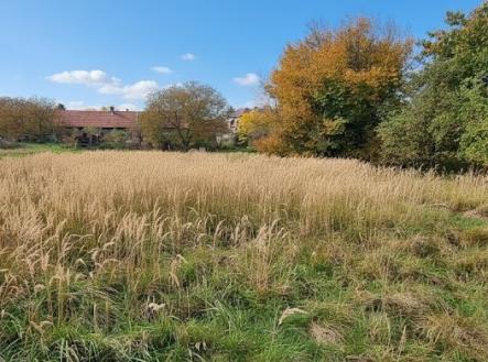 Prodej pozemku pro bydlení, 3 213 m²