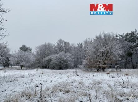 Prodej pozemku pro bydlení, 3 213 m²
