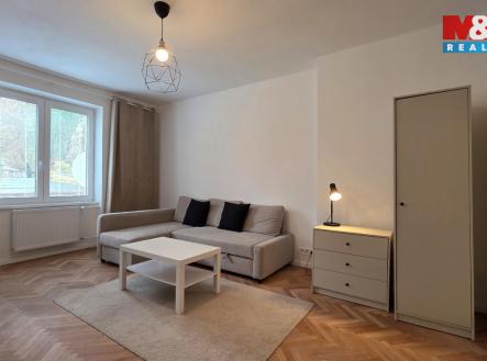 Pronájem bytu, 1+1, 30 m²