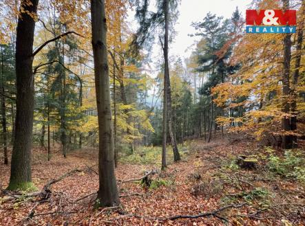 Prodej pozemku, les, 6 855 m²