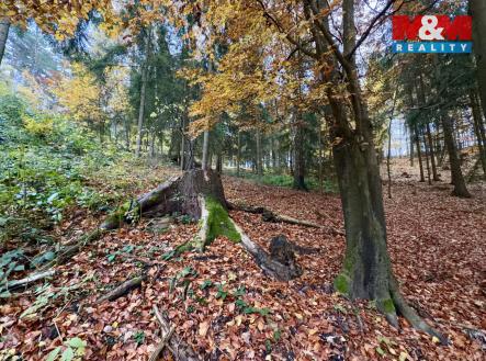 Prodej pozemku, les, 6 855 m²