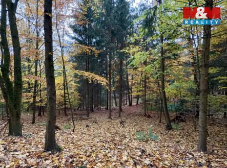 Prodej pozemku, les, 6 855 m²