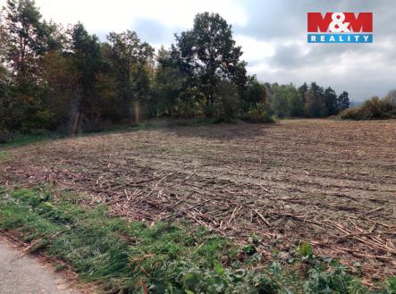 Prodej pozemku, zemědělská půda, 6 129 m²