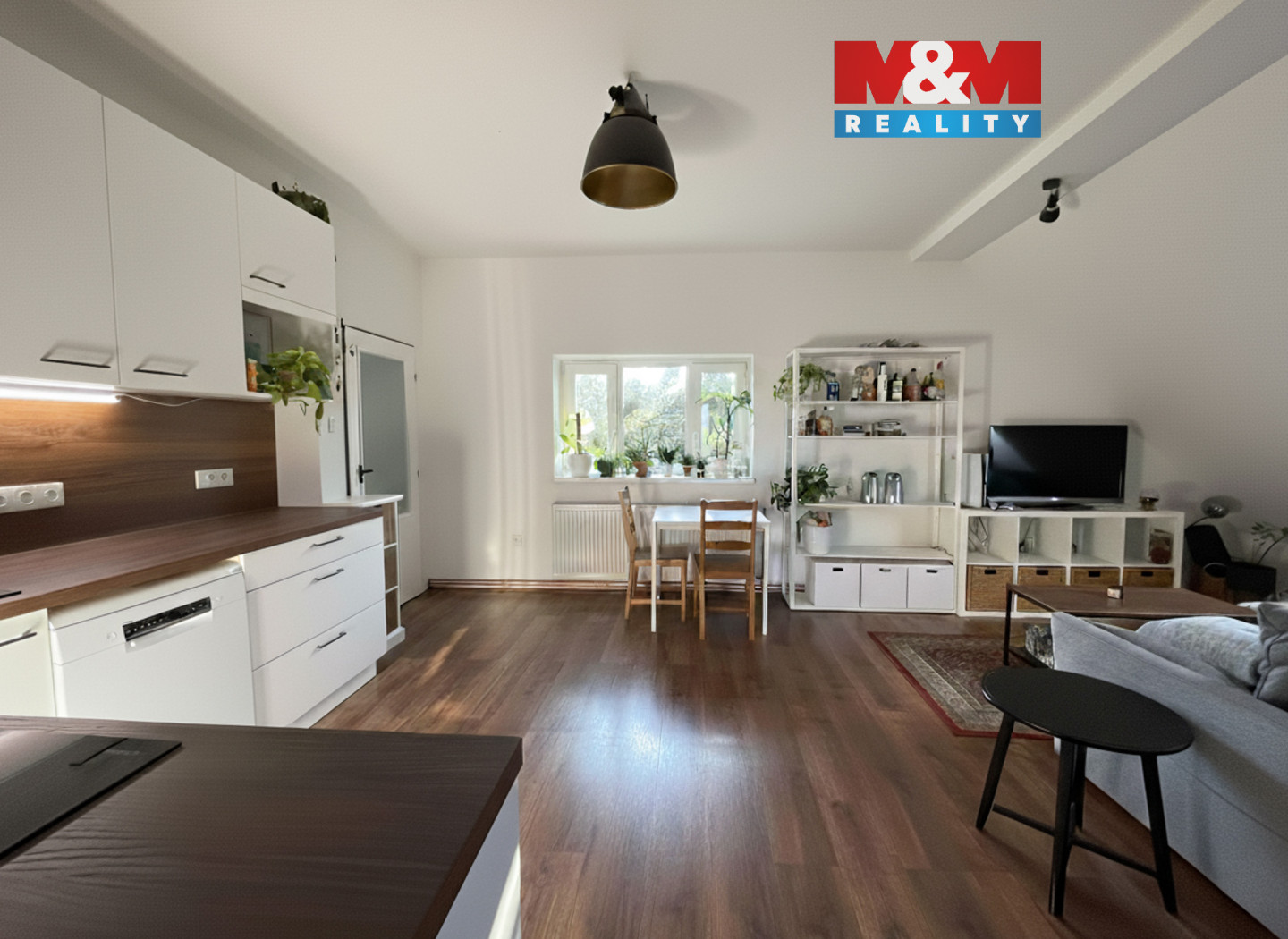 cele kk (1)_export.jpg