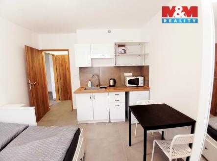 Pronájem bytu, 1+kk, 20 m²