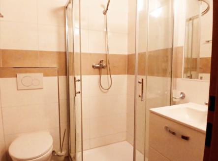 Pronájem bytu, 1+kk, 20 m²