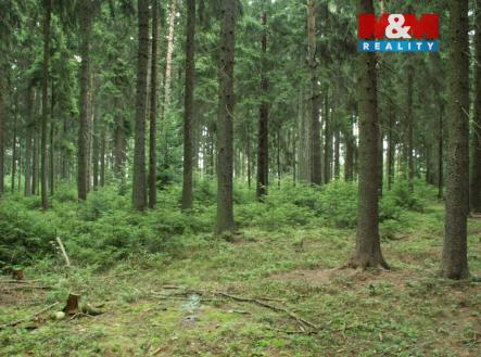 Prodej pozemku, les, 12 970 m²