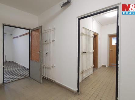 Pronájem obchodní prostor, 55 m²