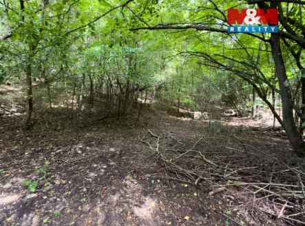 Prodej pozemku, zahrada, 1 508 m²