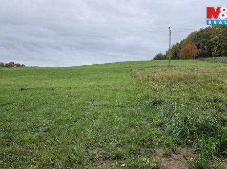 Prodej pozemku, trvalý travní porost, 7 881 m²