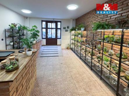 Prodej obchodní prostor, 47 m²