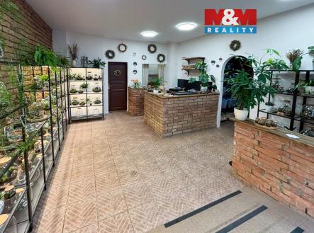 Prodej obchodní prostor, 47 m²