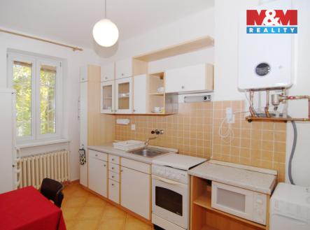 Pronájem bytu, 1+1, 42 m²