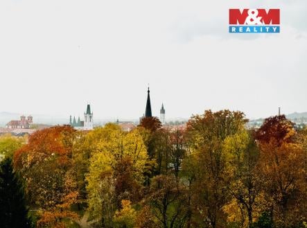 Prodej bytu, 1+1, 45 m²