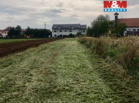 Prodej pozemku, zemědělská půda, 1 574 m²