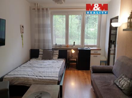 Pronájem bytu, 1+kk, 22 m²