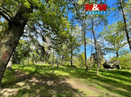 Prodej pozemku, les, 3 719 m²