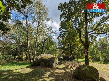 Prodej pozemku, les, 3 719 m²