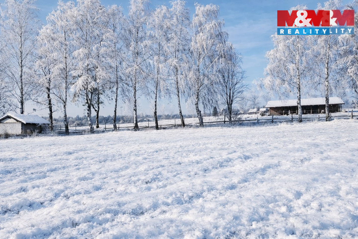 WhatsApp Image 2026-01-06 at 11.24.22.jpeg