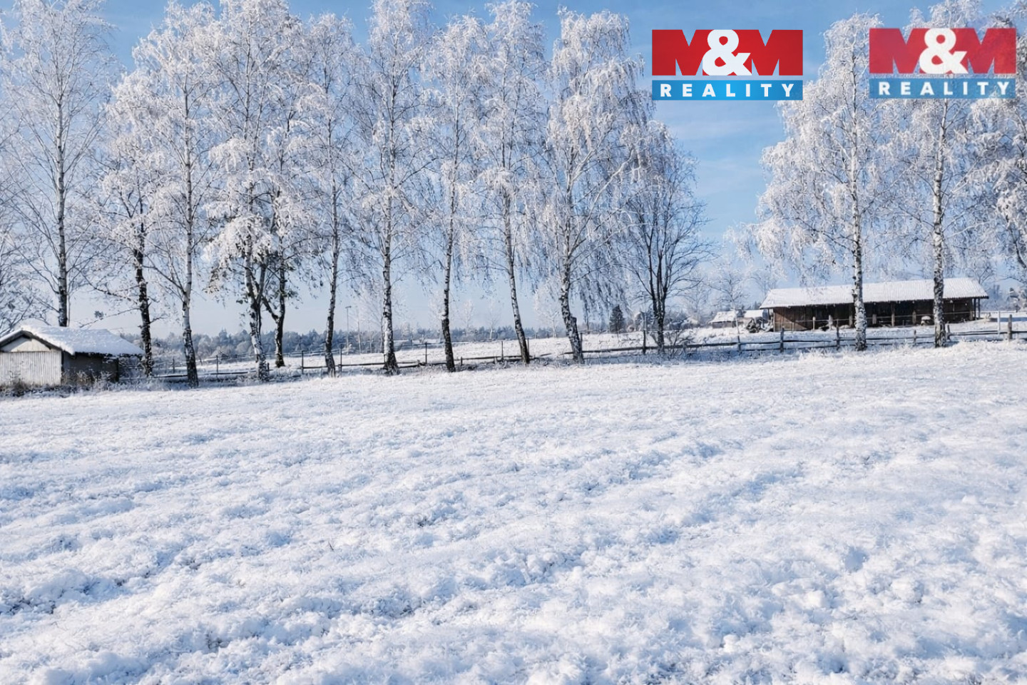 WhatsApp Image 2026-01-06 at 11.24.22.jpeg