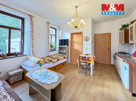 Pronájem bytu, 1+kk, 20 m²