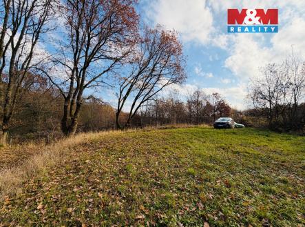 Prodej pozemku, zemědělská půda, 5 000 m²