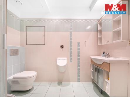 Pronájem bytu, 4+kk, 151 m²