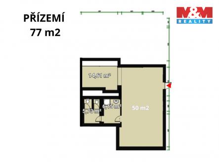 Pronájem obchodní prostor, 77 m²