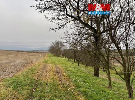 Prodej pozemku, zahrada, 901 m²