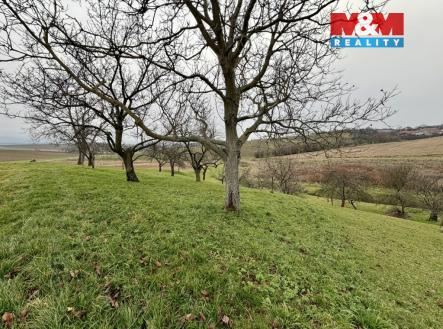 Prodej pozemku, zahrada, 901 m²