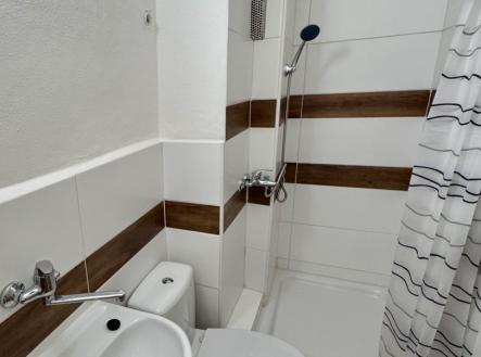 Pronájem bytu, 1+kk, 24 m²