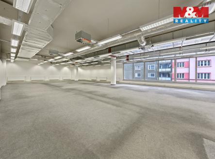 Pronájem obchodní prostor, 230 m²