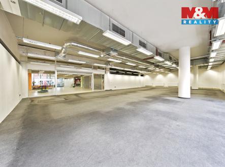 Pronájem obchodní prostor, 230 m²