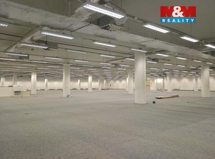 Pronájem obchodní prostor, 2 013 m²