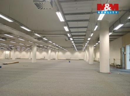 Pronájem obchodní prostor, 2 013 m²