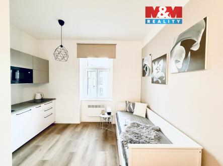 Pronájem bytu, 1+kk, 19 m²
