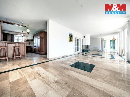 Pronájem domu/vily, 395 m²